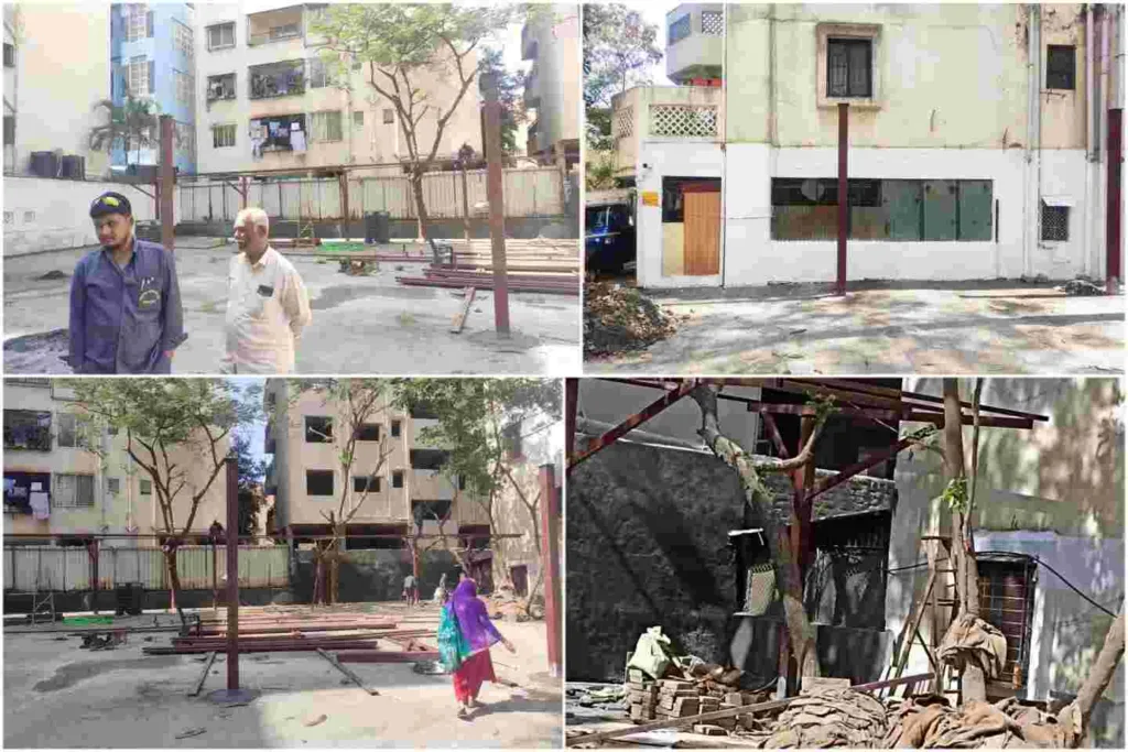 Pune : Trees allegedly cut in Ashoka Summit society in Kondhwa to make space for vehicle parking