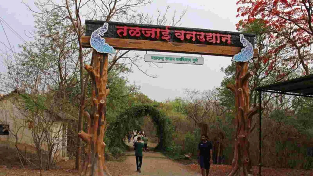 Pune : Urban Joint Forest Management Committee To Monitor Taljai Hills 