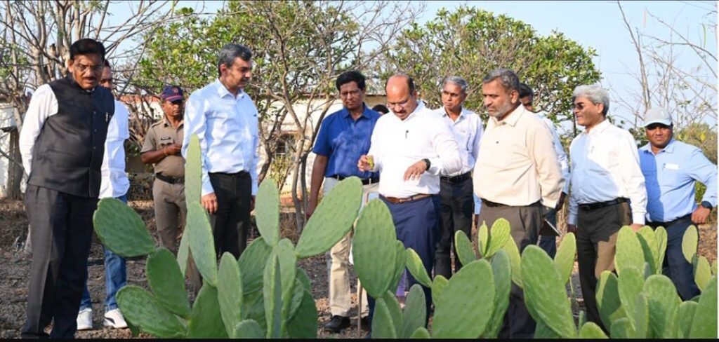 Pilot park to promote Cactus as green gold park of India established in Pune