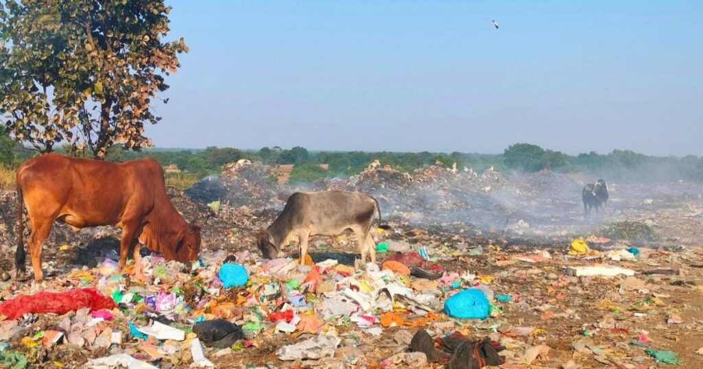Pune PMC Enforces Stricter Penalties for Improper Waste Management: Revised Fines up to ₹ 15,000