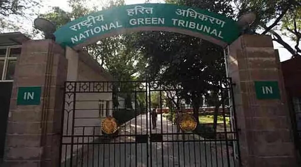 NGT asks Pune collector & forest dept to file response over compensatory tree plantation in Mulshi