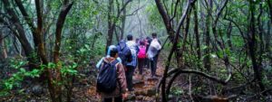 Andharban Jungle Trek: An Adventure Awaits in the Western Ghats