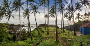 Discover a Green Paradise: Explore Goa's Vibrant Villages This Monsoon