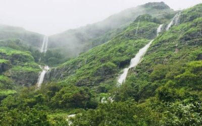Tourist Ban Imposed by Forest Department in Tamhini Wildlife Sanctuary Following Monsoon Accident Spike