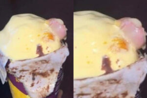 Mumbai News: Human Finger found in ice cream cone ordered from Malad Shop; Police launch probe