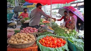 Pune Faces Rise in Vegetable Prices Due to Weather-Related Supply Shortages