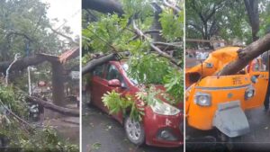 Pune: Huge tree fell on Shivarkar road in Fatima Nagar leaving 10 vehicles damaged