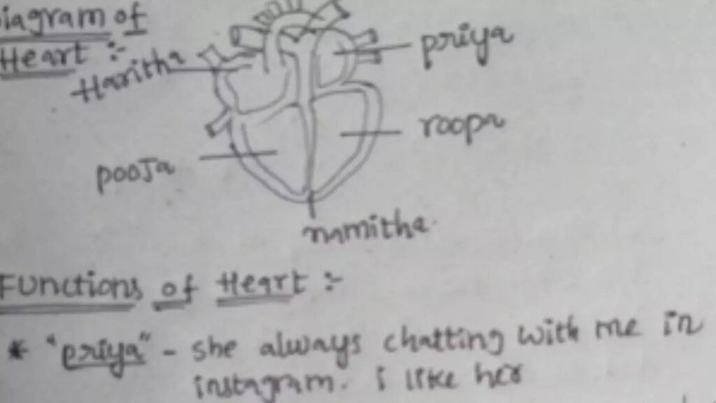 Student's Creative Twist on Heart Anatomy Diagram Leaves Teacher Stunned