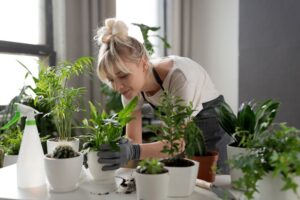 The Benefits of Indoor Gardening: From Air Quality to Aesthetics