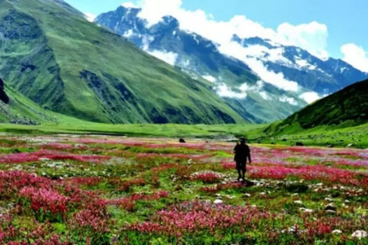 Valley of Flowers Trek in Uttarakhand Opens for 2024 Season