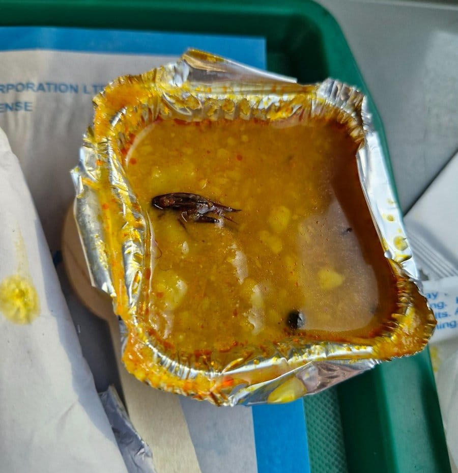 Vande Bharat Passengers Discover Dead Cockroach in Meal; IRCTC Penalizes Service Provider