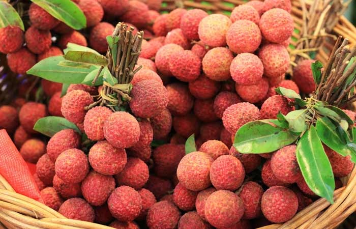 “How Many Lychees Can You Eat In A Day ? ” And The Amazing Benefits Of Fruit