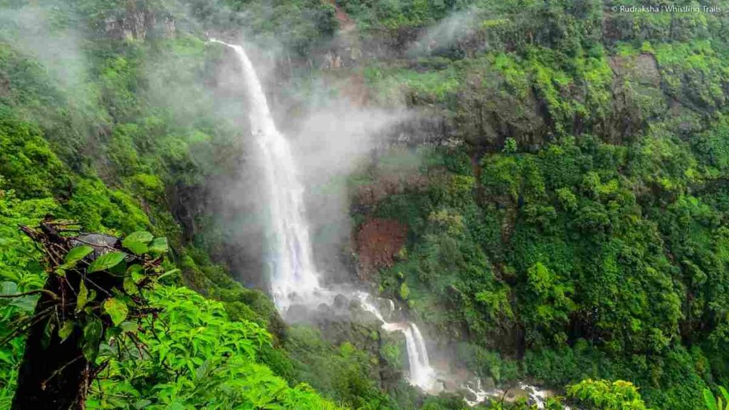 Splash the Heat Away: Scenic Waterfalls To Explore Around Pune