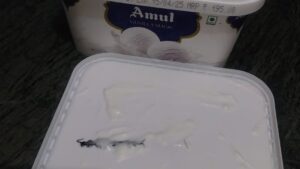 Video: Noida Woman Finds Frozen Centipede in Amul Ice Cream Ordered from Blinkit