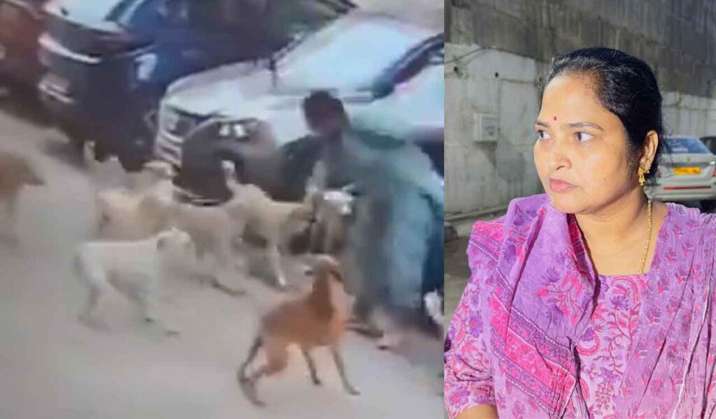 Woman attacked by 15 dogs in Hyderabad; video goes viral