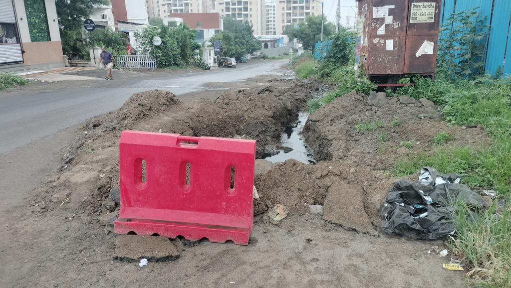 Pune: Severe Drainage Issue Raises Health Concerns In Mohamadwadi's Raheja Vista Circle Area