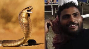 Reptile dies, man survives: Snake bites man in Bihar, he bites it back twice