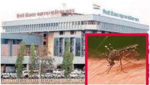 Pimpri Chinchwad Municipal Corporation to Urgently Fill 56 Vacant Positions for 'Breeding Checkers' for Dengue, Chikungunya, and Environmental Management