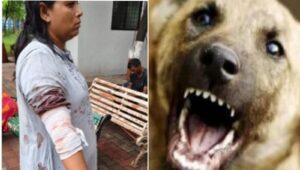 Pune: Woman Bitten by Pet Dog Amid Dispute Over Self-Help Group Payments