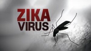 Zika Scare: Pregnant Woman In Pune To Be Screened In Affected Areas
