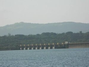 Pune Dams Reap Benefits of Recent Rains | water levels increased 