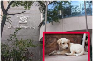 Pune: Dog puppy sexually abused, Hinjawadi police files case 