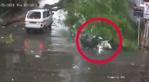 Pune Rains: Narrow Miss For School Children As Tree Falls On Moving Vehicle In Vadgaon Sheri 