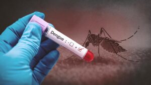 Rise in Vector-Borne Diseases In Maharashtra; 3736 Dengue Cases Reported This Year 