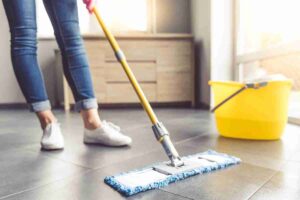 Cleaning Tips for Monsoon: Keep Insects Away with These Home Remedies